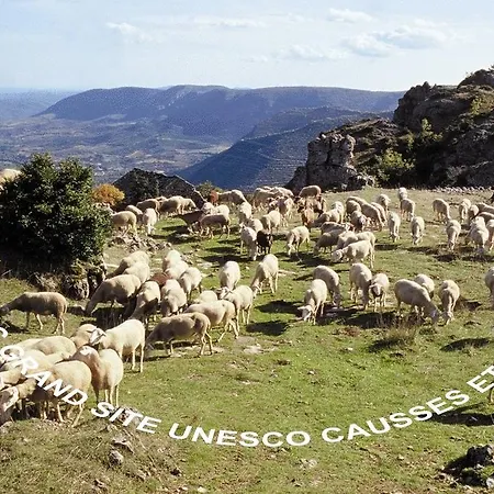 Escandorgue Lodeve